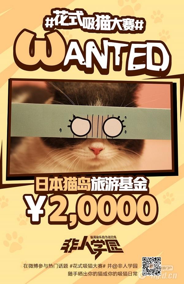 图7：花式晒猫大赛 2万奖金悬赏.jpg