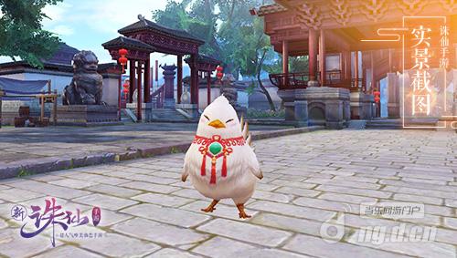 图4 二代小黄鸡变身“白斩鸡”.jpg